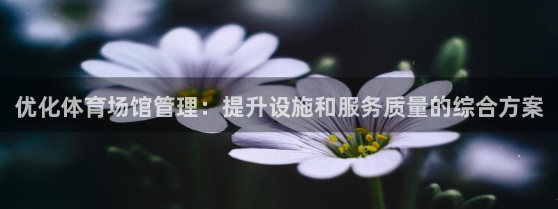尊龙凯时ag旗舰厅官方网站