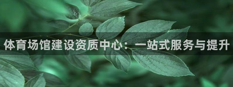 尊龙手机客户端下载