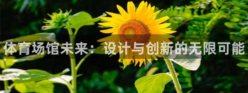 尊龙d88官网可靠送38元