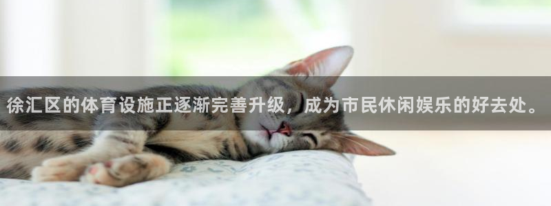 尊龙凯时网站赌愽是真的吗