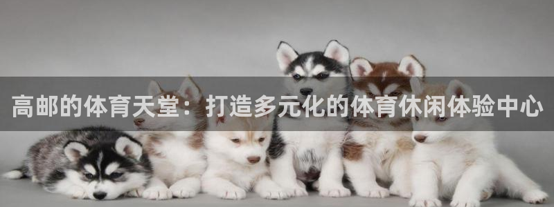 尊龙凯时人生就是搏客户