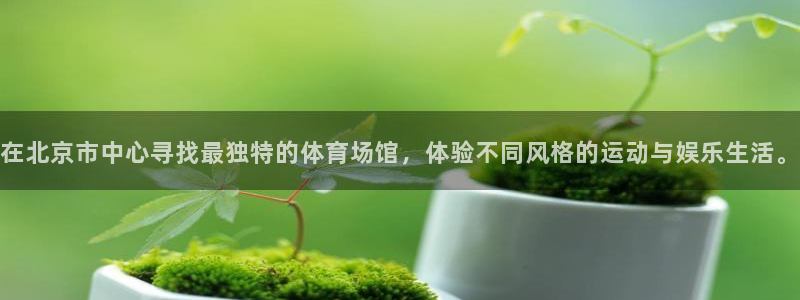 尊龙凯时网娱乐最新版下载