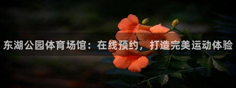 尊龙凯时城游戏官网：东湖公园体育场馆：在线预约，打造完美运动
