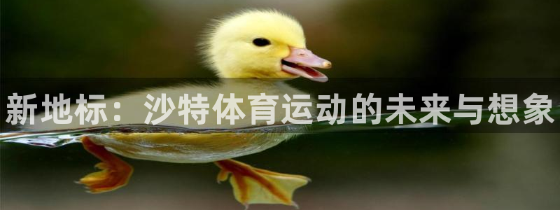 尊龙APP客户端平台