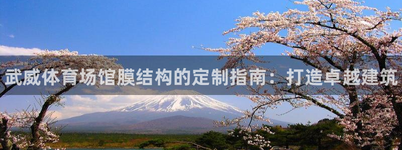 尊龙凯时平台入口：武威体育场馆膜结构的定制指南：打造卓越建筑